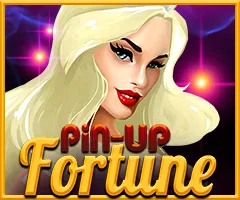 Pin Up — Платёжные методы